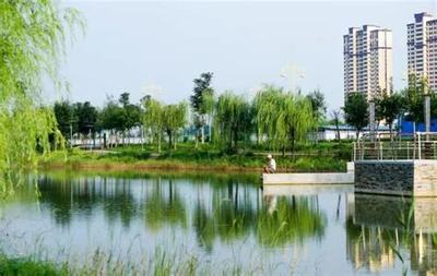 臨西哪里有網(wǎng)站建設(shè)產(chǎn)品詳解:臨西童村手工活|2024年07月更新