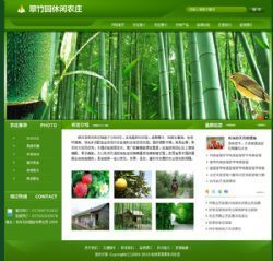濟南免費建網站公司,濟南網站建設,濟南網上開店,濟南淘寶開店培訓服務,濟南網頁設計